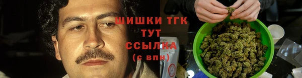 дживик Магас