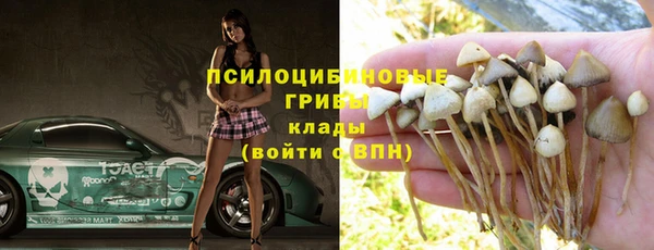 хмурый Абинск